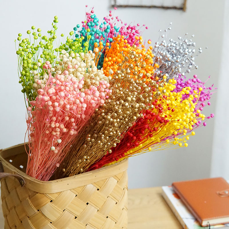 35g/Geconserveerde Ormosia Hos - Dried Flower Pressed recensie en prijs
