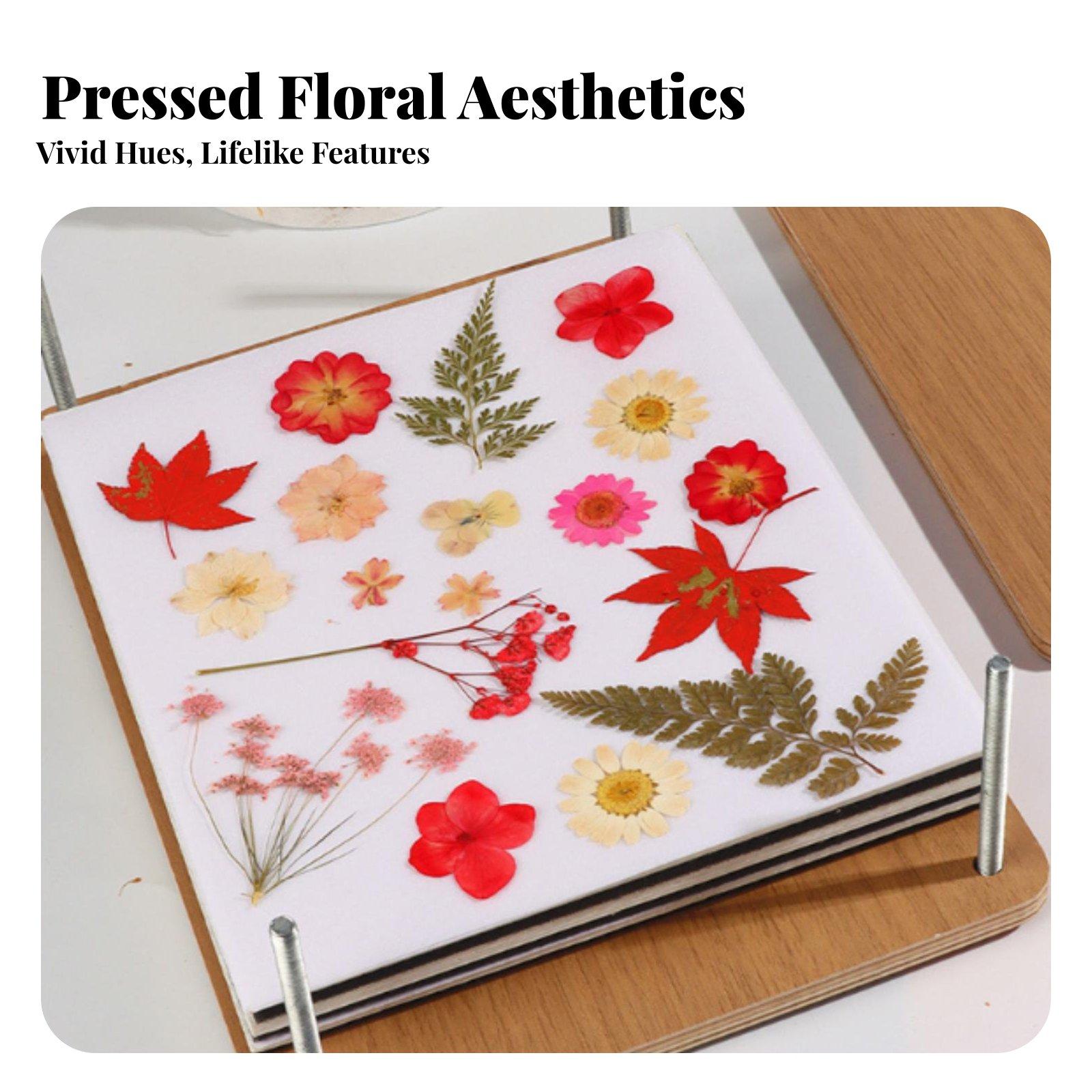 Multitier Botanische Bloemenpe - Dried Flower Pressed recensie en prijs