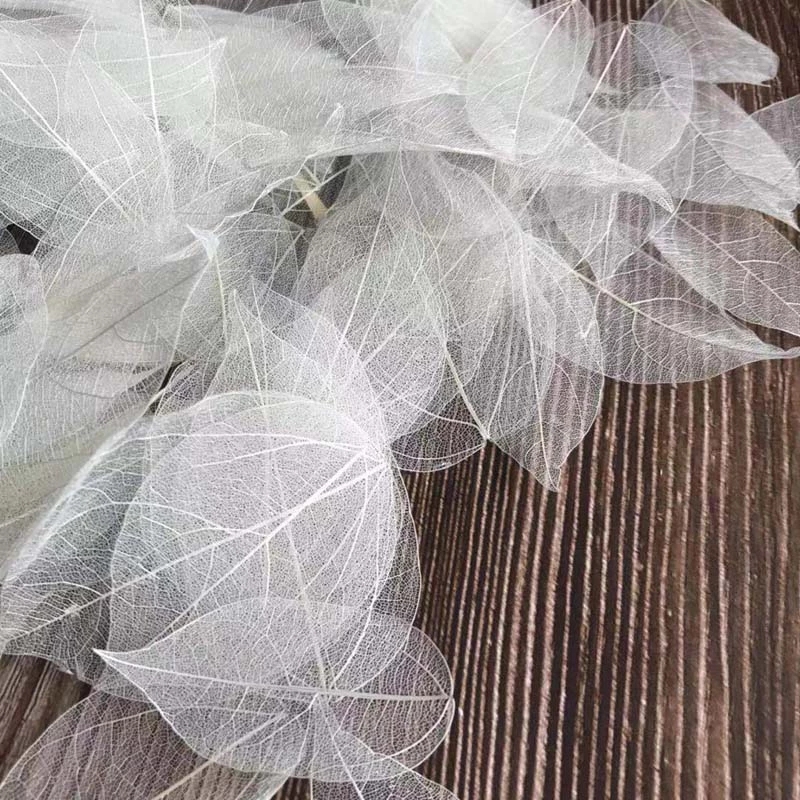 5 ~ 9 CM * 2 ~ 3.5 CM, 100 stk - Dried Flower Pressed recensie en prijs