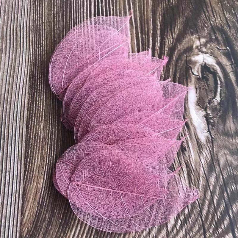 5 ~ 9 CM * 2 ~ 3.5 CM, 100 stk - Dried Flower Pressed recensie en prijs