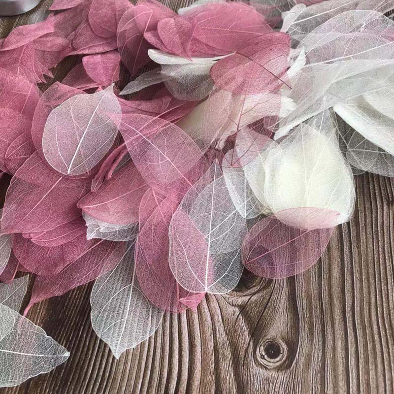 5 ~ 9 CM * 2 ~ 3.5 CM, 100 stk - Dried Flower Pressed recensie en prijs