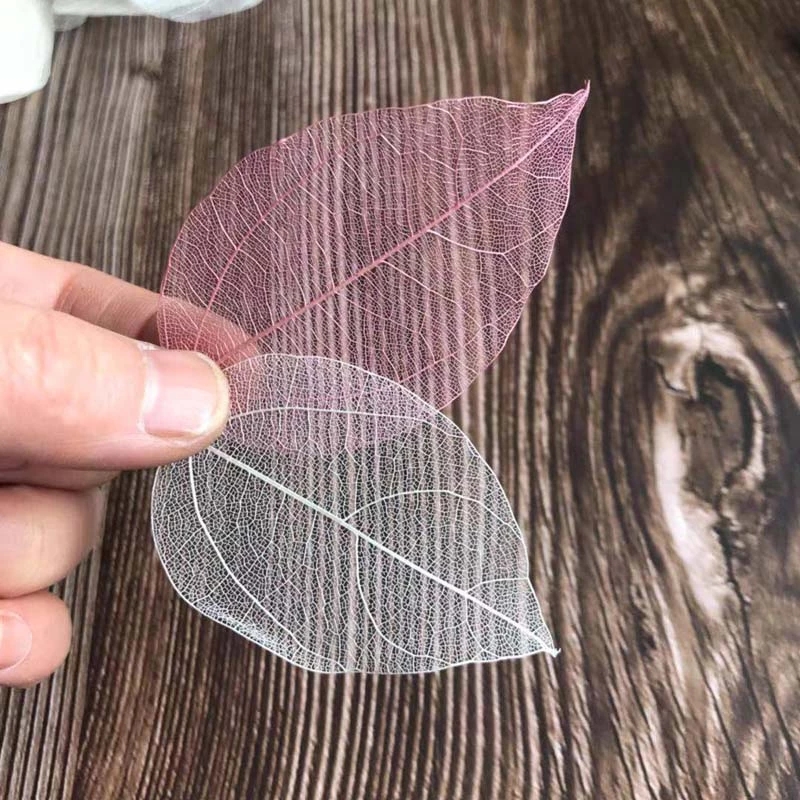 5 ~ 9 CM * 2 ~ 3.5 CM, 100 stk - Dried Flower Pressed recensie en prijs