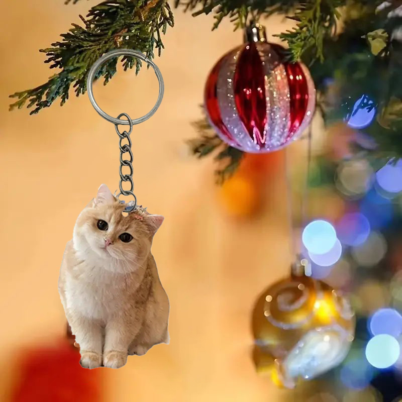 Zwart-witte kat sleutelhanger  - Resin Art Ring Design recensie en prijs