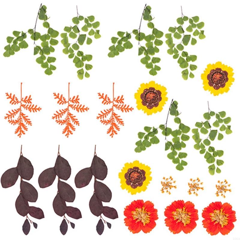 Gedroogde geperste bloem voor  - Dried Flower Pressed recensie en prijs