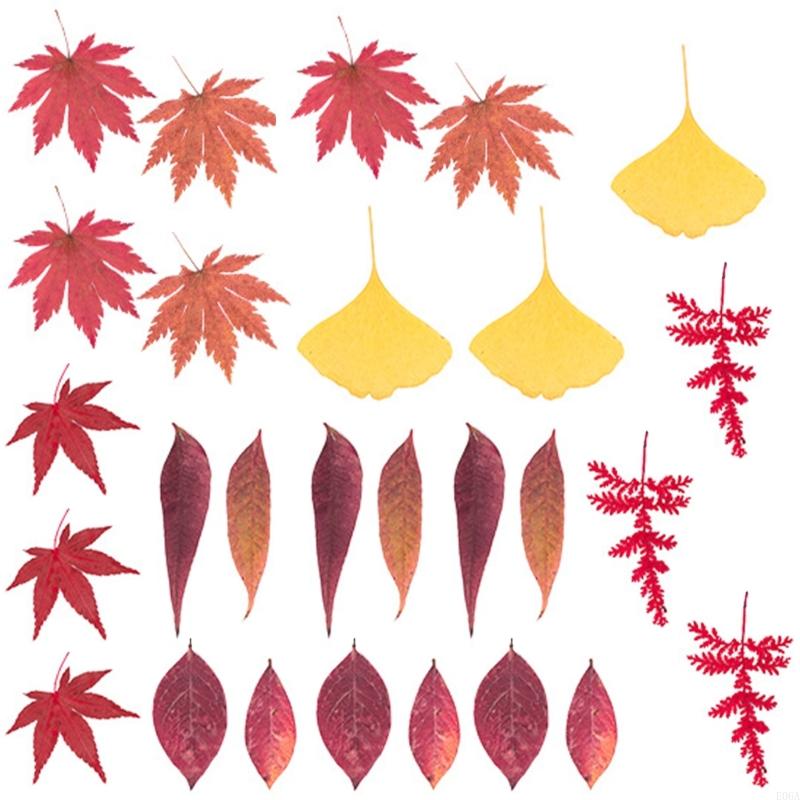 Gedroogde geperste bloem voor  - Dried Flower Pressed recensie en prijs