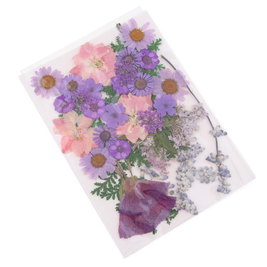 Natuurlijk geperste gedroogde  - Dried Flower Pressed recensie en prijs