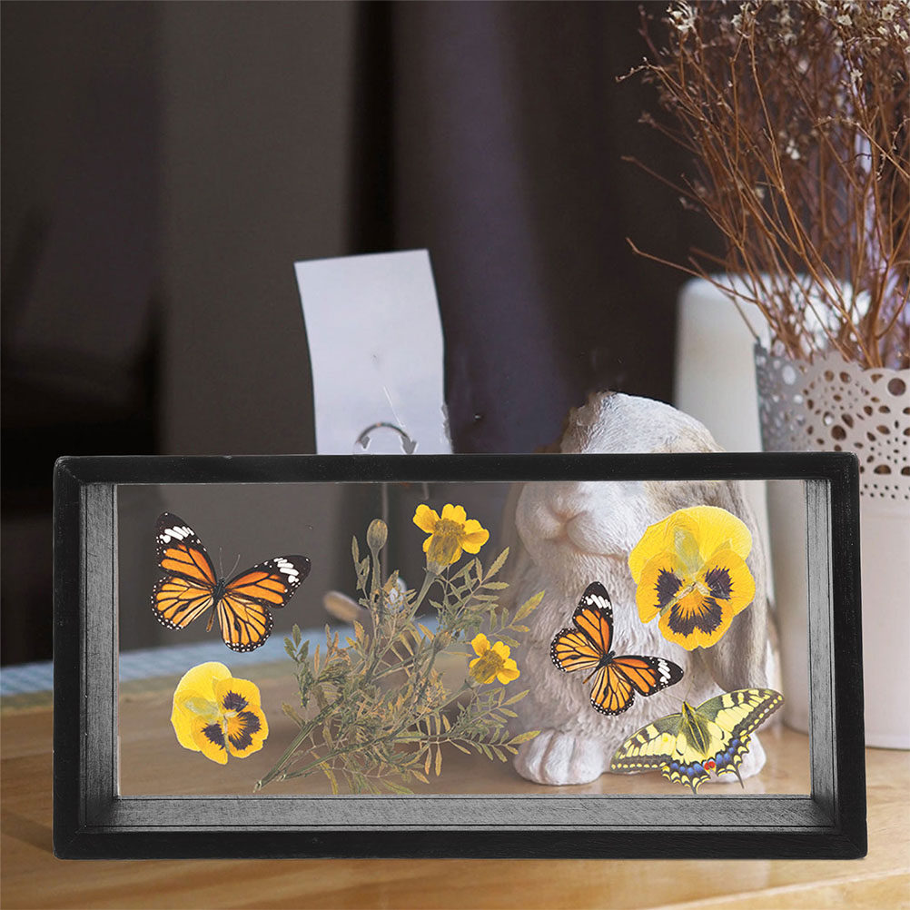 2 stuks transparante acryl fot - Dried Flower Pressed recensie en prijs