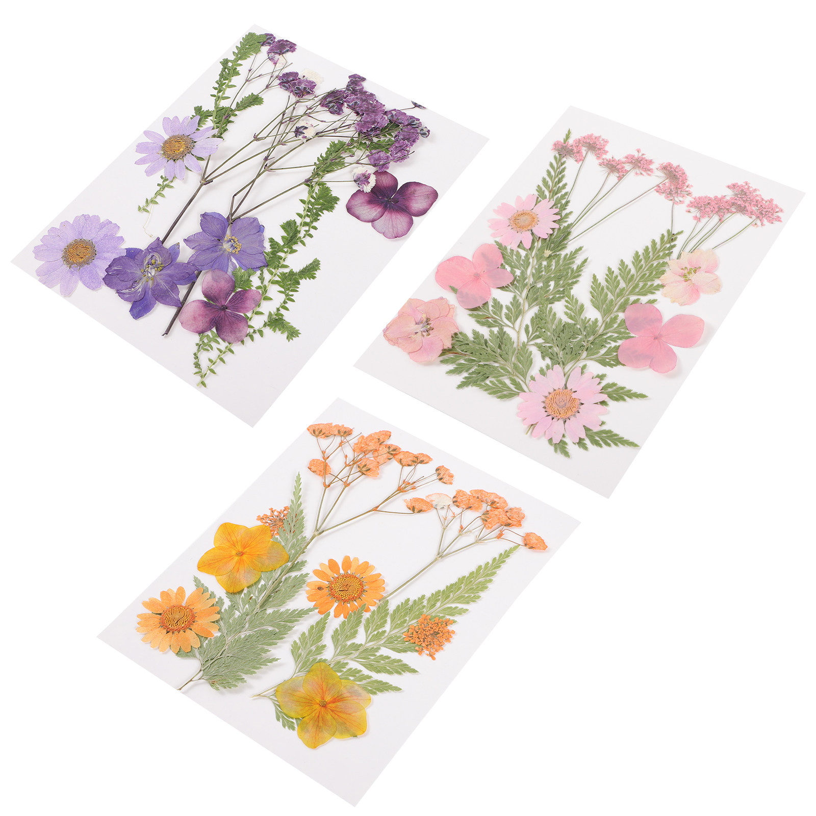 Gedroogde bloemen decoratiemat - Dried Flower Pressed recensie en prijs