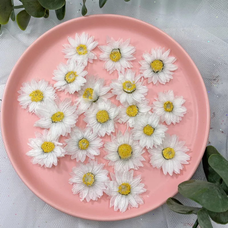 24Pcs/2-4Cm, Natuurlijke Geper - Dried Flower Pressed recensie en prijs